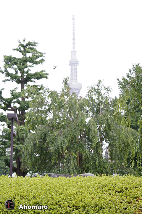 写真00