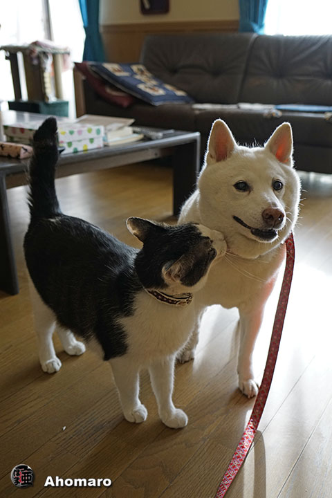 ʐ^00