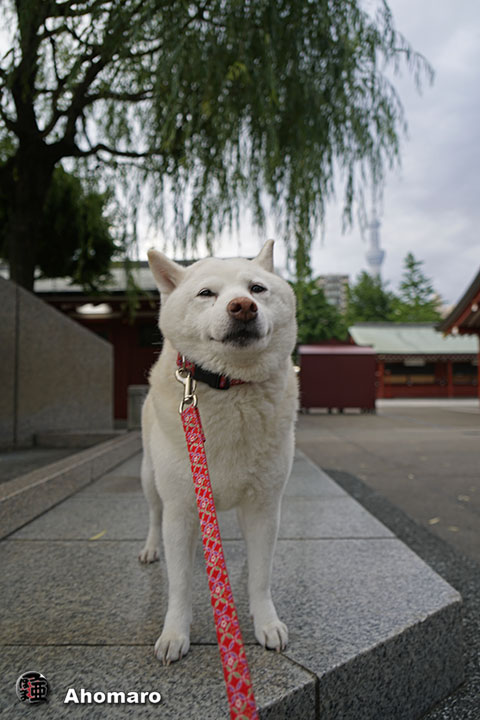 写真00