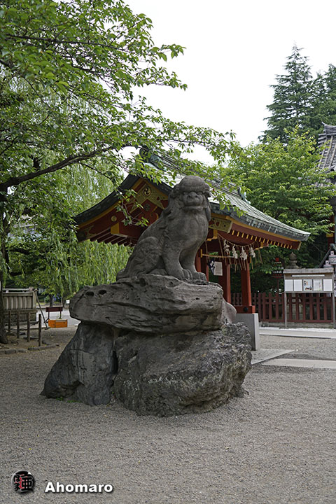 写真00