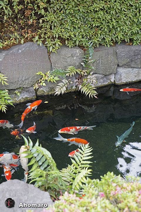 写真00