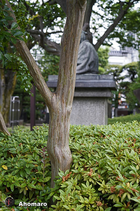 写真00