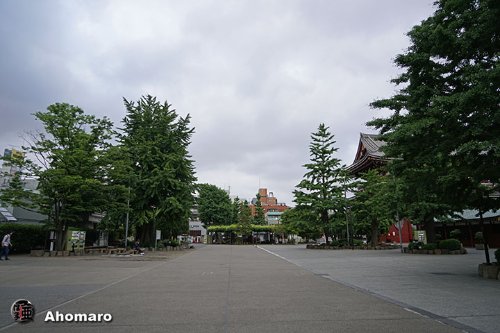 写真00