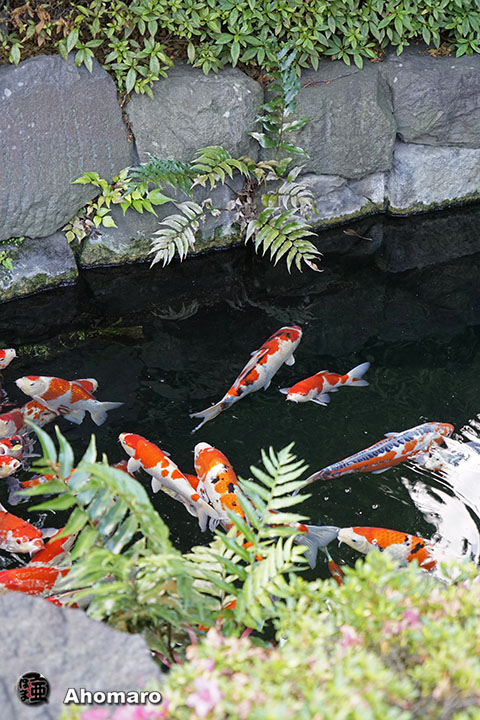 写真00