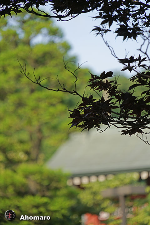 写真00