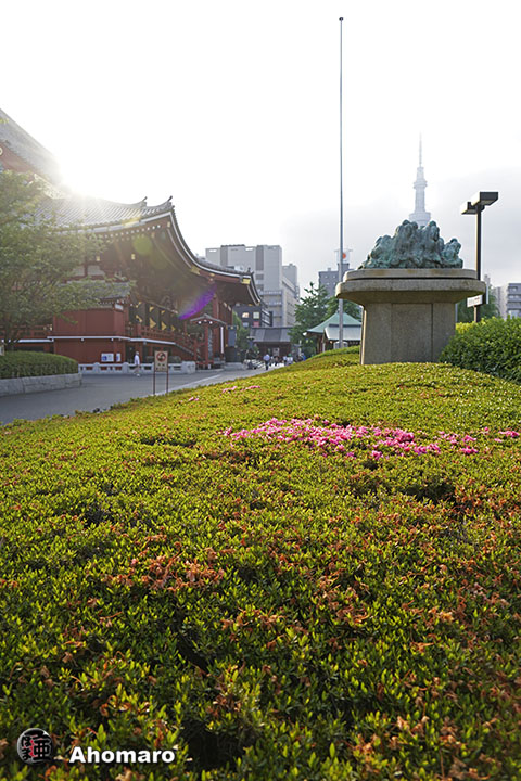 写真00
