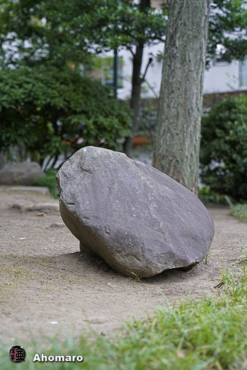 写真00