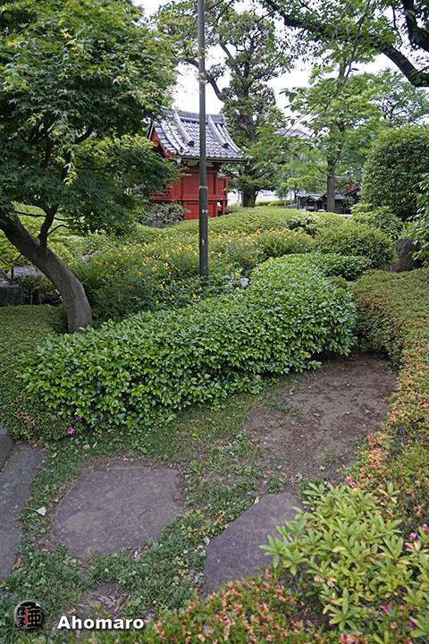 写真00