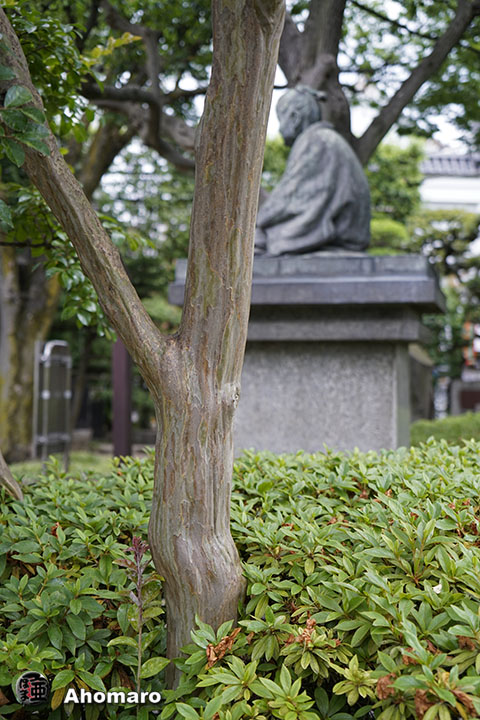 写真00