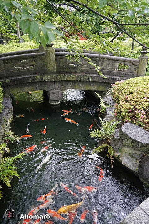 写真00