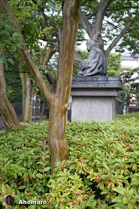 写真00
