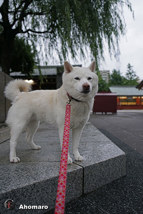 写真00