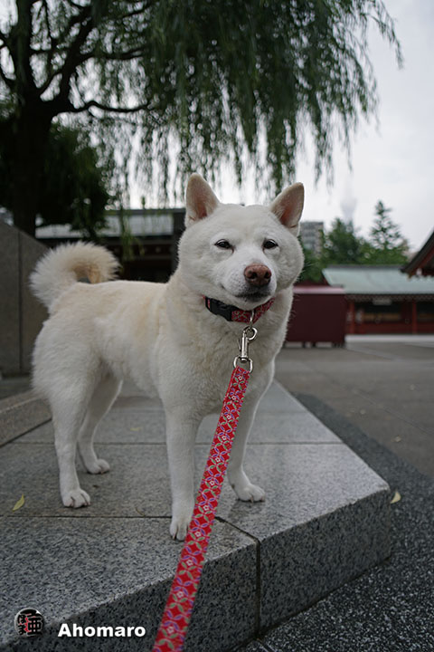 写真00