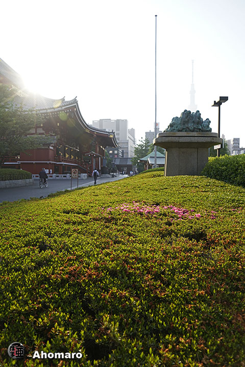 写真00