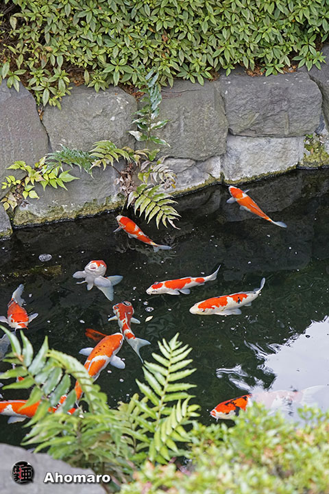 写真00