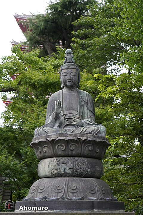 写真00