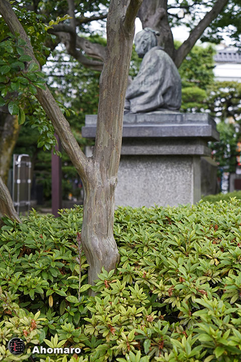 写真00