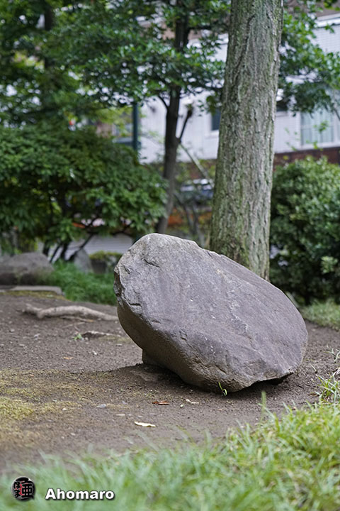 写真00