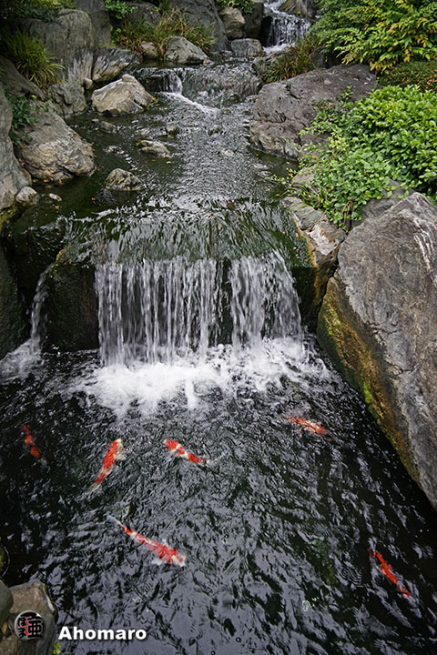 写真00