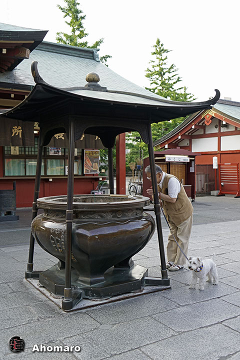 写真00