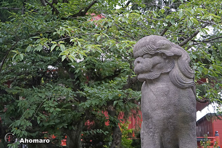 写真00
