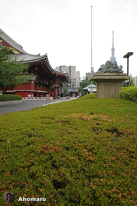 写真00