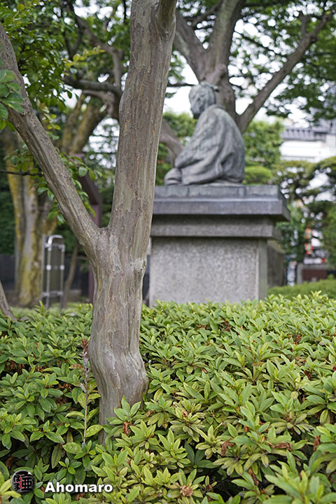 写真00