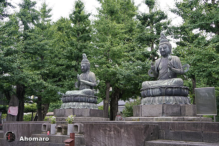 写真00