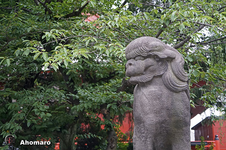 写真00