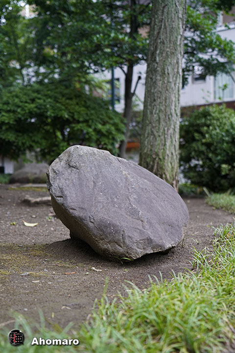 写真00