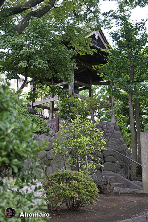 写真00