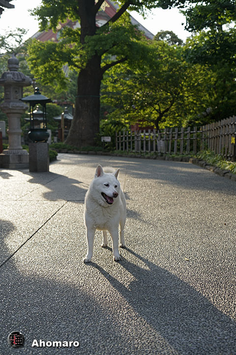 写真00
