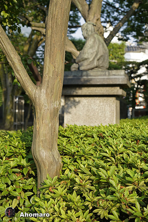 写真00