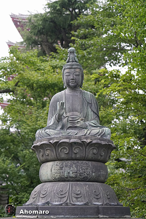 写真00