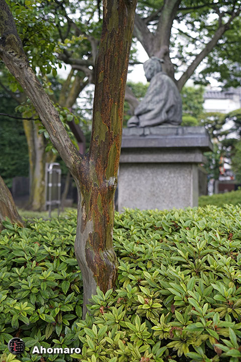 写真00