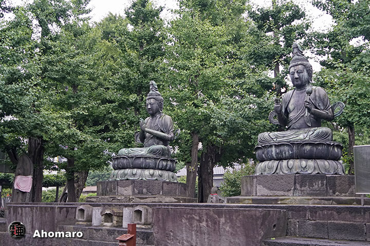 写真00