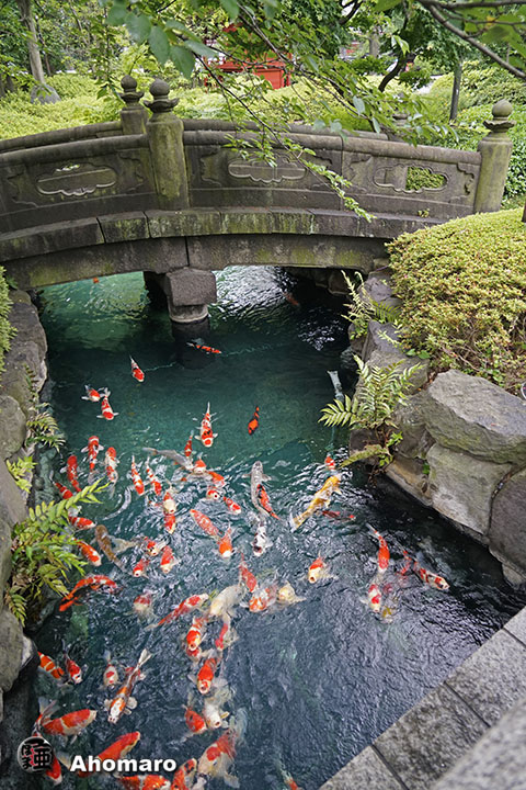写真00