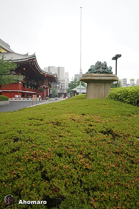 写真00