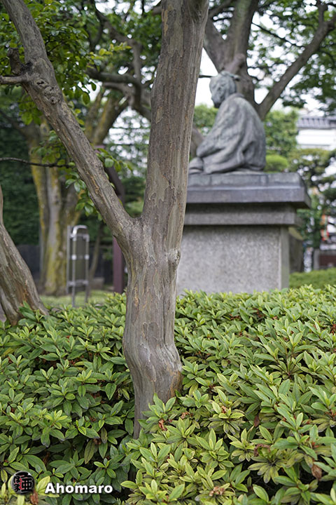 写真00