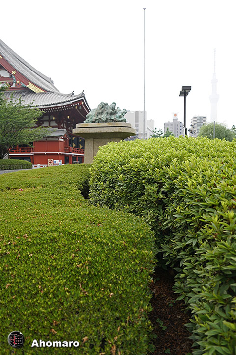 写真00