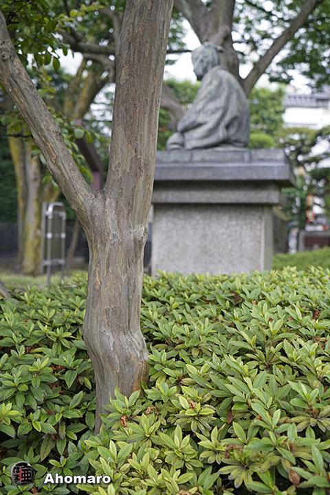 写真00