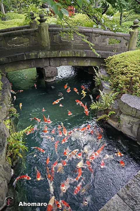 写真00