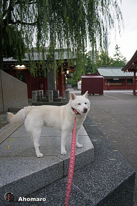 写真00