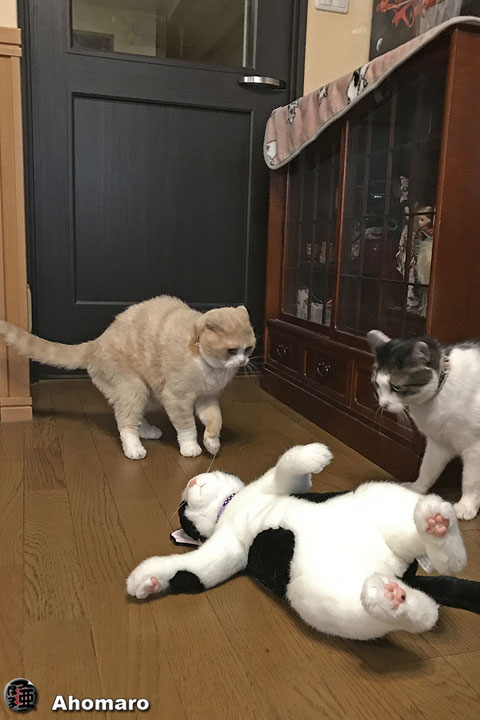 写真00