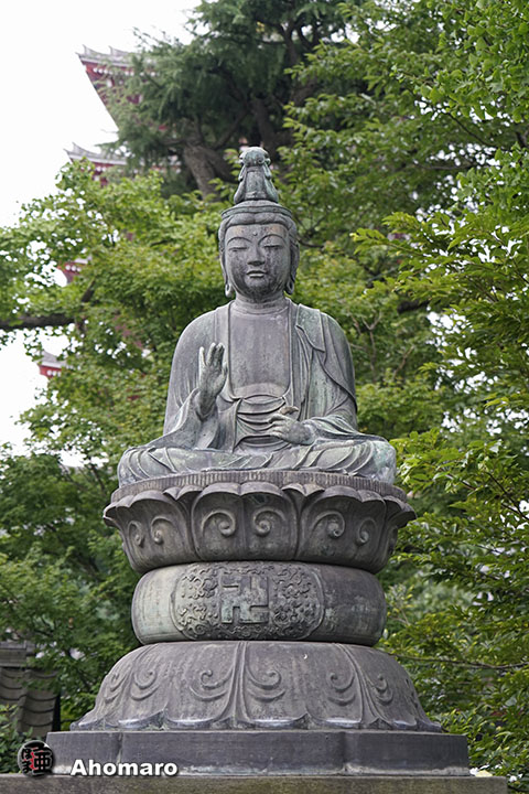 写真00