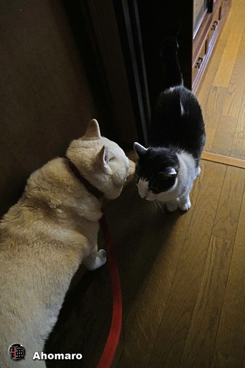 ʐ^00