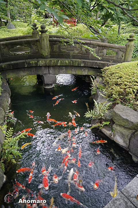 写真00