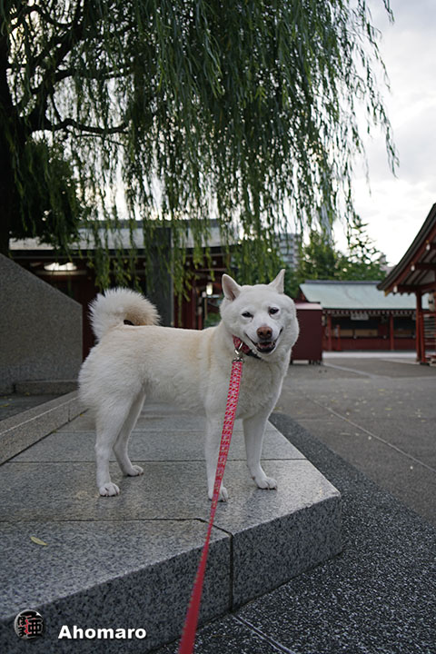 写真00