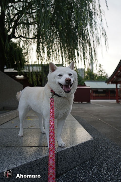 写真00