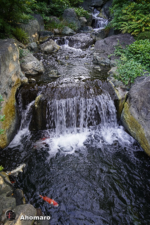 写真00
